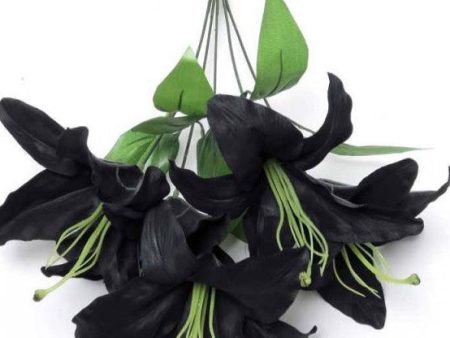 Alchemy England - Black Lily Bunch - Artificial Flowers Discount