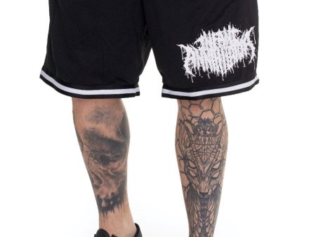 Infant Annihilator - Logo Striped - Shorts Online now